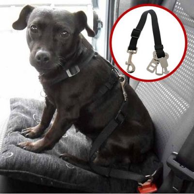 Cinto de Segurança Universal para Cães - AN807